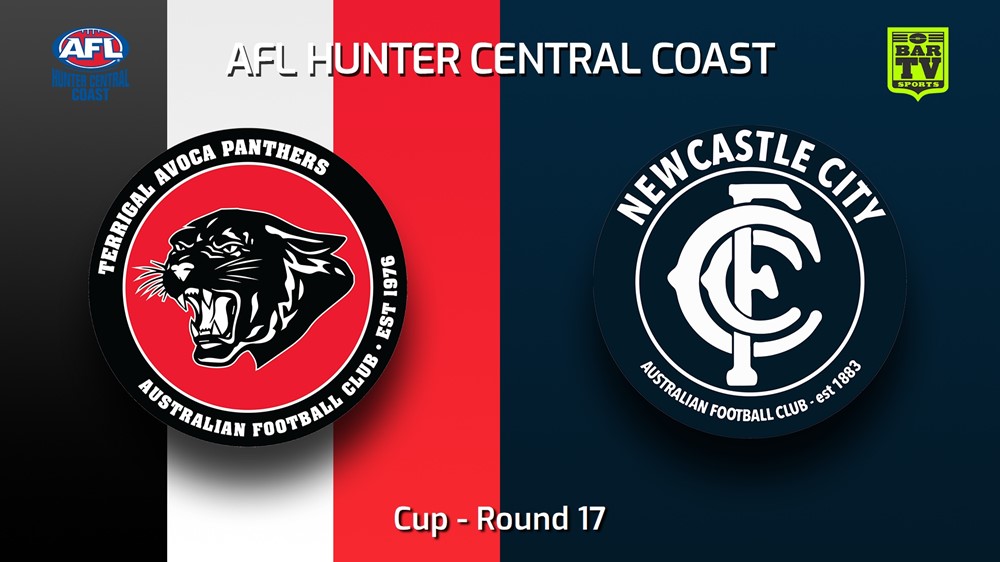250823-video-AFL Hunter Central Coast Round 17 - Cup - Terrigal Avoca Panthers v Newcastle City  Slate Image
