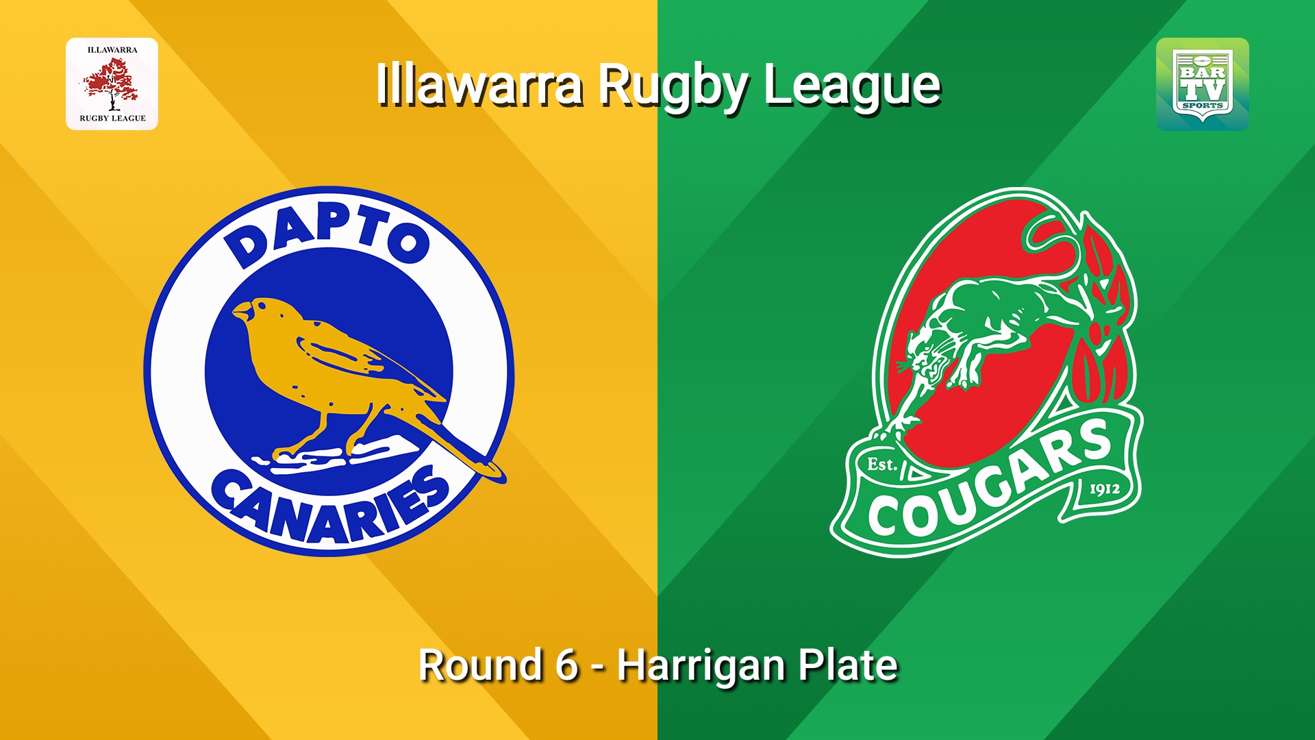260613-video-Illawarra Round 6 - Harrigan Plate - Dapto Canaries v Corrimal Cougars Slate Image