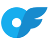 ONLYFLAGS Logo