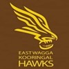 East Wagga Hawks Logo
