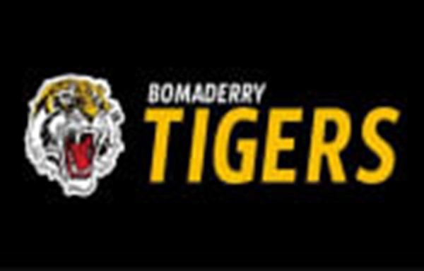 Bomaderry Tigers  Logo