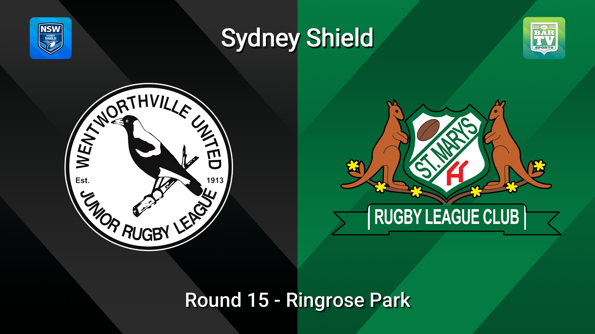 260719-video-Sydney Shield Round 15 - Wentworthville United v St Marys Minigame Slate Image
