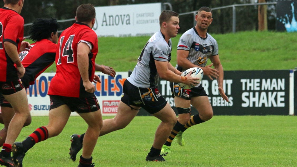 Goannas bite Bears Image