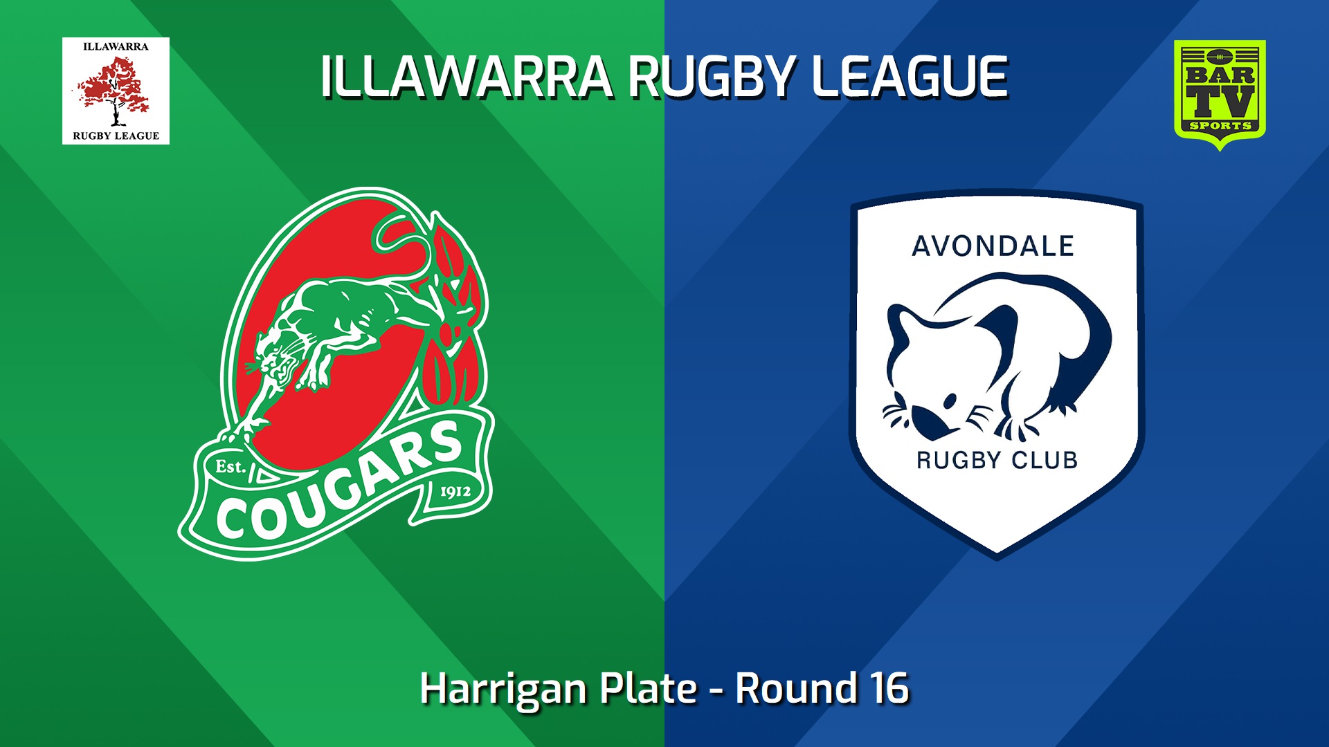240817-video-Illawarra Round 16 - Harrigan Plate - Corrimal Cougars v Avondale Wombats Slate Image