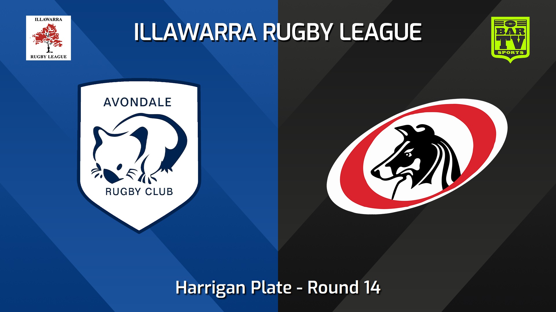 240803-video-Illawarra Round 14 - Harrigan Plate - Avondale Wombats v Collegians Slate Image