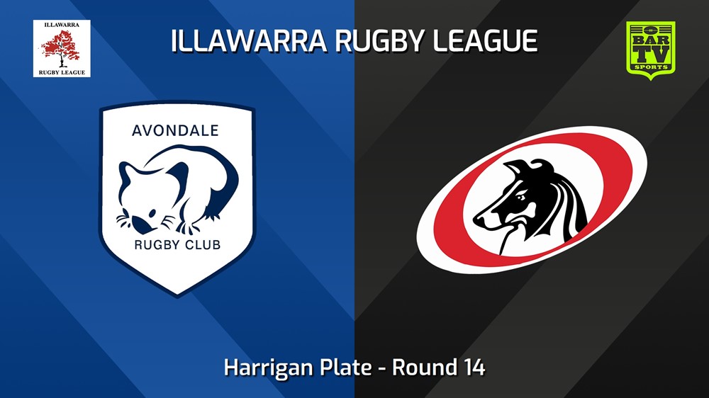 240803-video-Illawarra Round 14 - Harrigan Plate - Avondale Wombats v Collegians Slate Image
