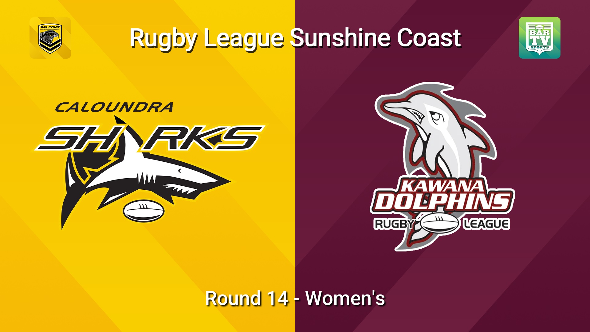 260816-video-Sunshine Coast RL Round 14 - Women's - Caloundra Sharks v Kawana Dolphins Slate Image