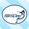 RLN Northern Swords Logo