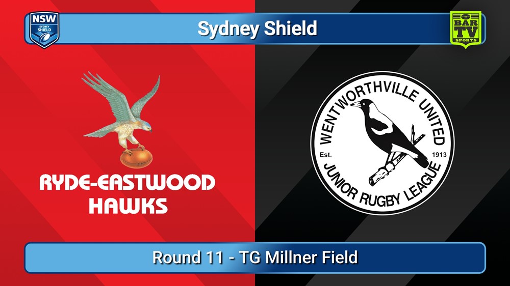 250615-video-Sydney Shield Round 11 -  Hawks v Wentworthville United Slate Image