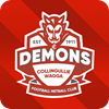 Collingullie Wagga Demons Logo
