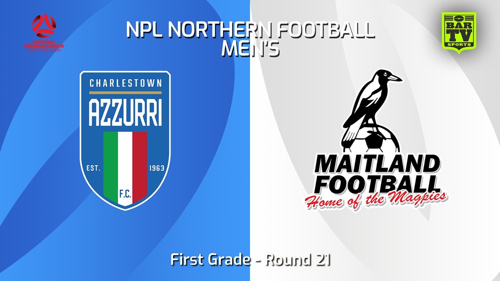 240811-video-NNSW NPLM Round 21 - Charlestown Azzurri FC v Maitland FC Slate Image