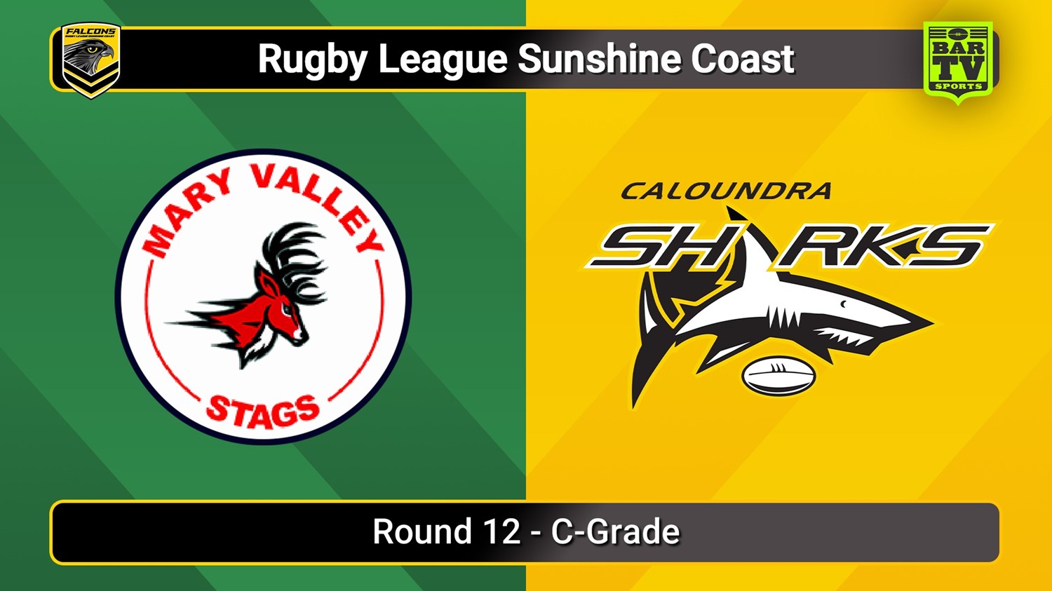250705-video-Sunshine Coast RL Round 12 - C-Grade - Mary Valley Stags v Caloundra Sharks Slate Image