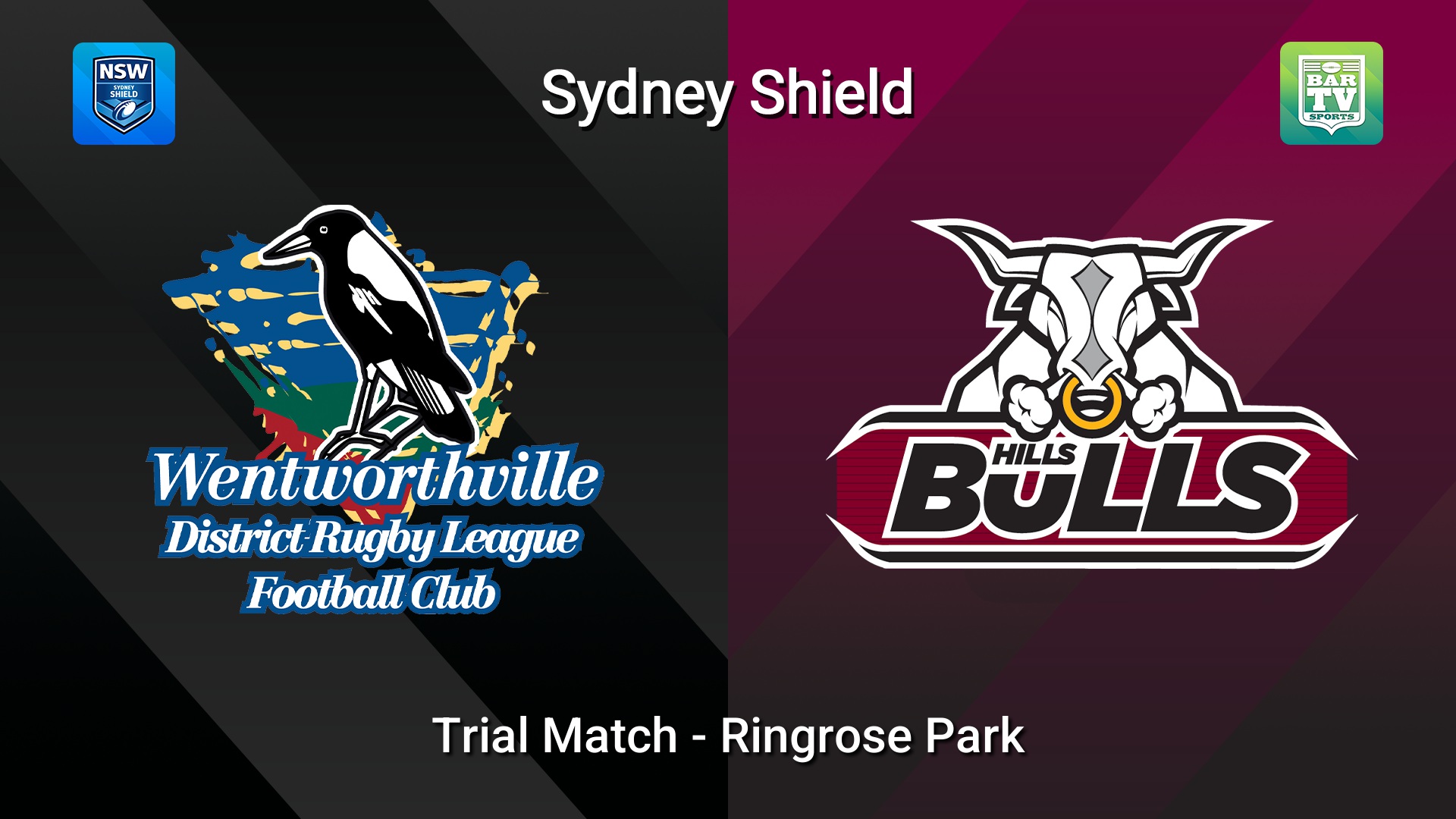 260228-video-Sydney Shield Trial Match - Wentworthville Magpies  v Hills Bulls Minigame Slate Image