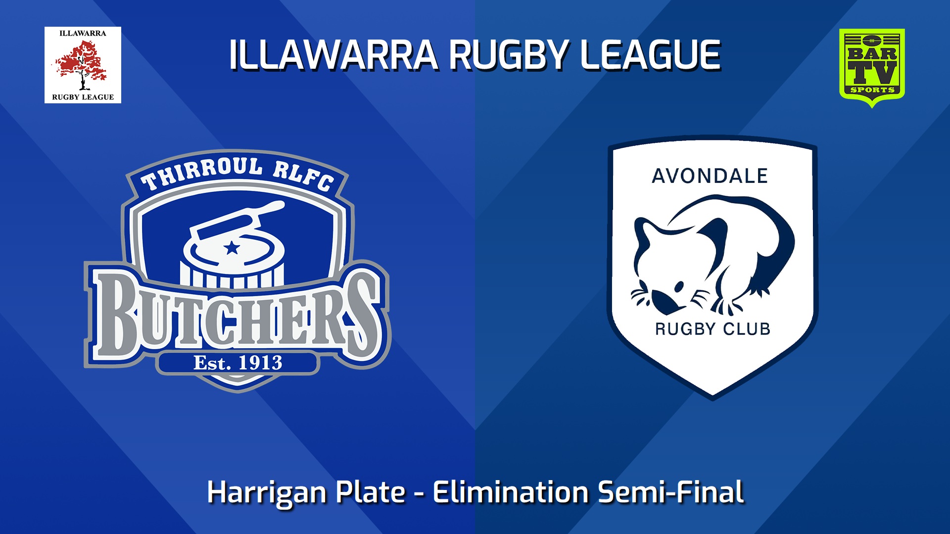 240824-video-Illawarra Elimination Semi-Final - Harrigan Plate - Thirroul Butchers v Avondale Wombats Slate Image