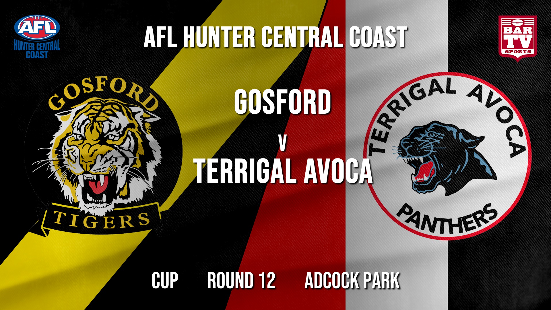 AFL HCC Round 12 - Cup - Gosford Tigers v Terrigal Avoca Panthers Slate Image
