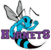 HORNETS Logo