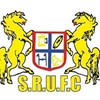 Scone Brumbies Logo