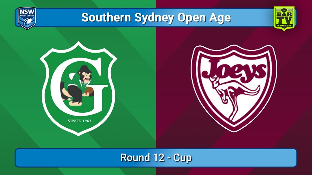 250705-video-S. Sydney Open Round 12 - Cup - Gymea Gorillas v St Josephs Slate Image