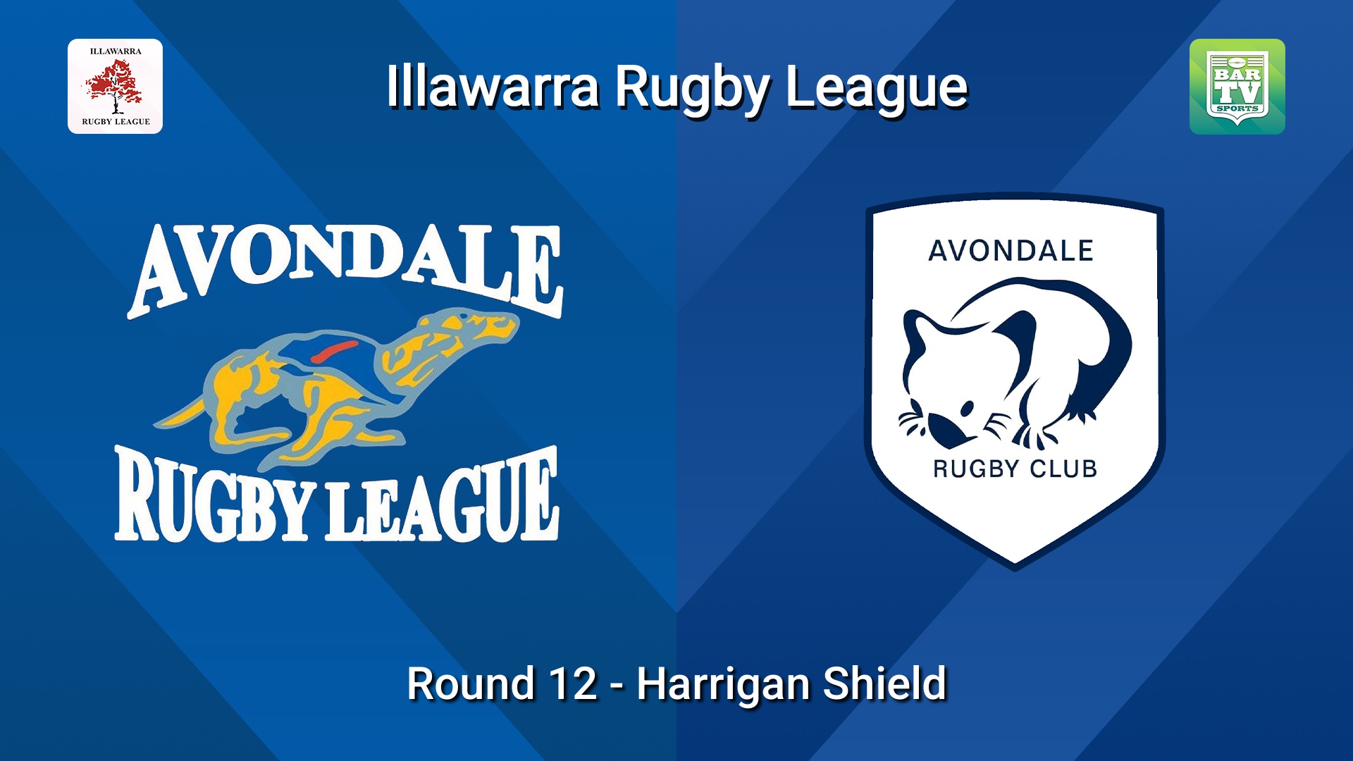 260801-video-Illawarra Round 12 - Harrigan Shield - Avondale Greyhounds v Avondale Wombats Slate Image