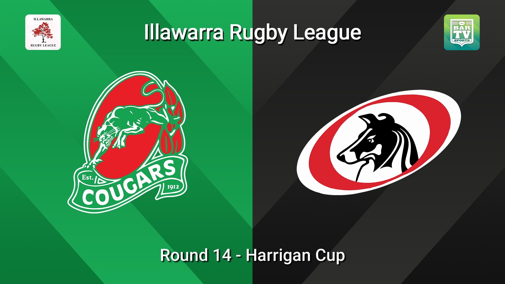260815-video-Illawarra Round 14 - Harrigan Cup - Corrimal Cougars v Collegians Slate Image