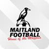 Maitland FC (Res) Logo