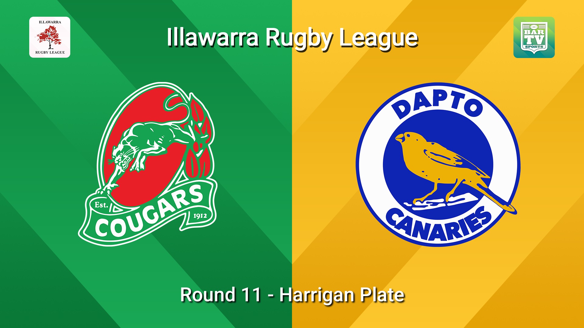 260725-video-Illawarra Round 11 - Harrigan Plate - Corrimal Cougars v Dapto Canaries Slate Image