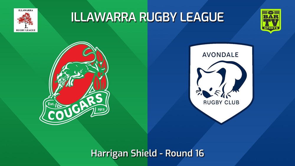 240817-video-Illawarra Round 16 - Harrigan Shield - Corrimal Cougars v Avondale Wombats Slate Image