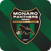Monaro Panthers FC Logo