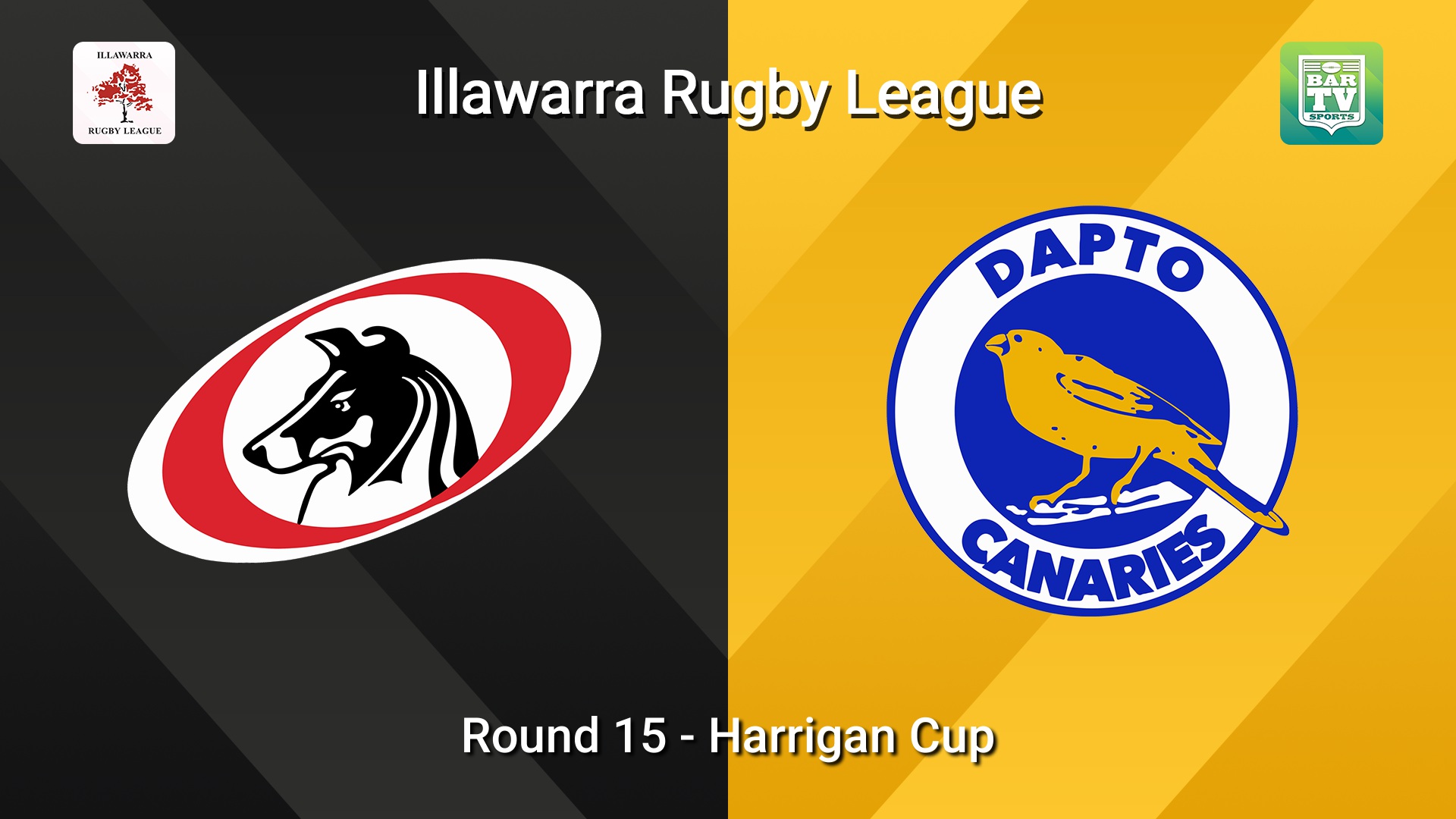 260822-video-Illawarra Round 15 - Harrigan Cup - Collegians v Dapto Canaries Minigame Slate Image