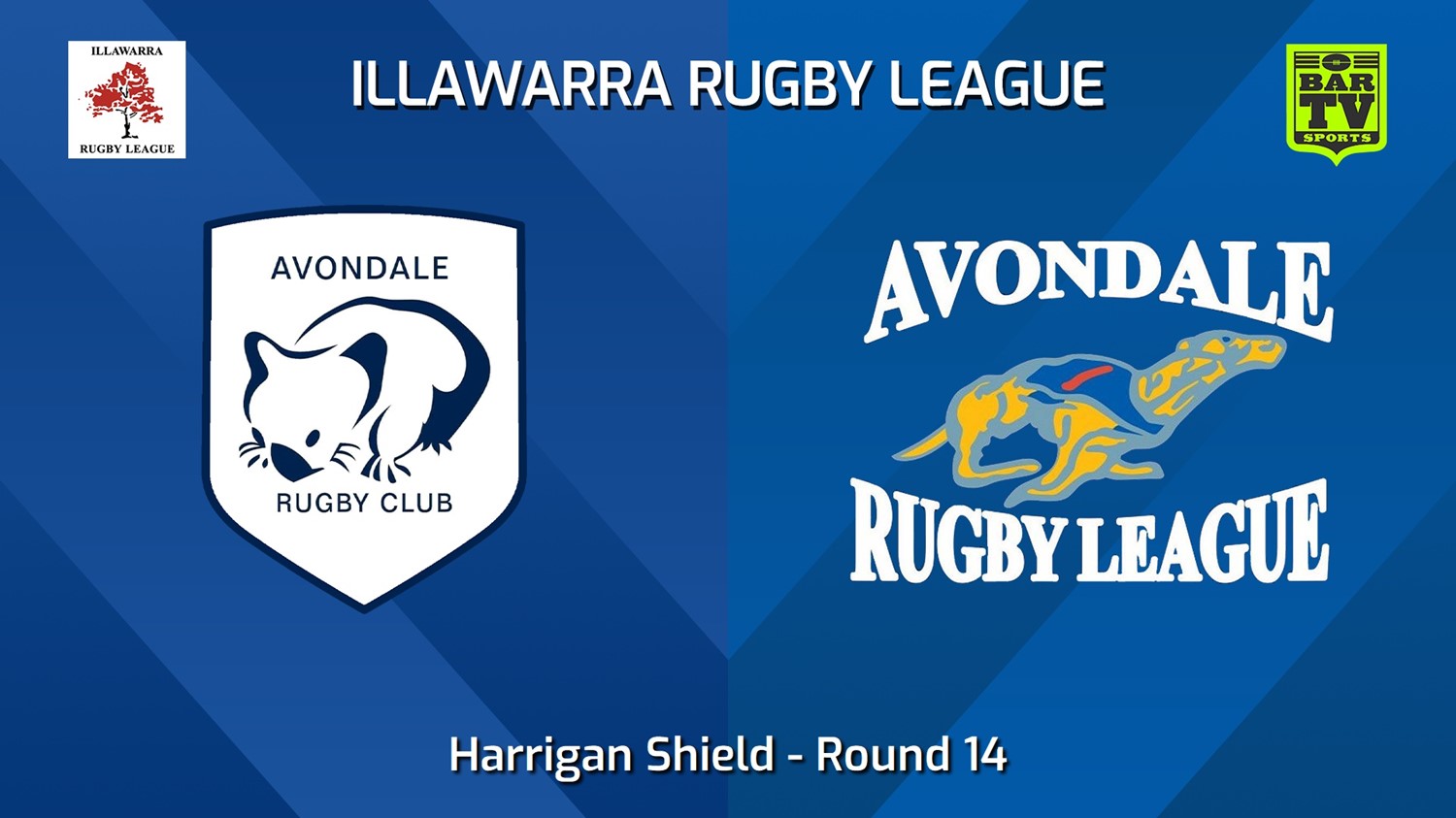 240803-video-Illawarra Round 14 - Harrigan Shield - Avondale Wombats v Avondale Greyhounds Slate Image