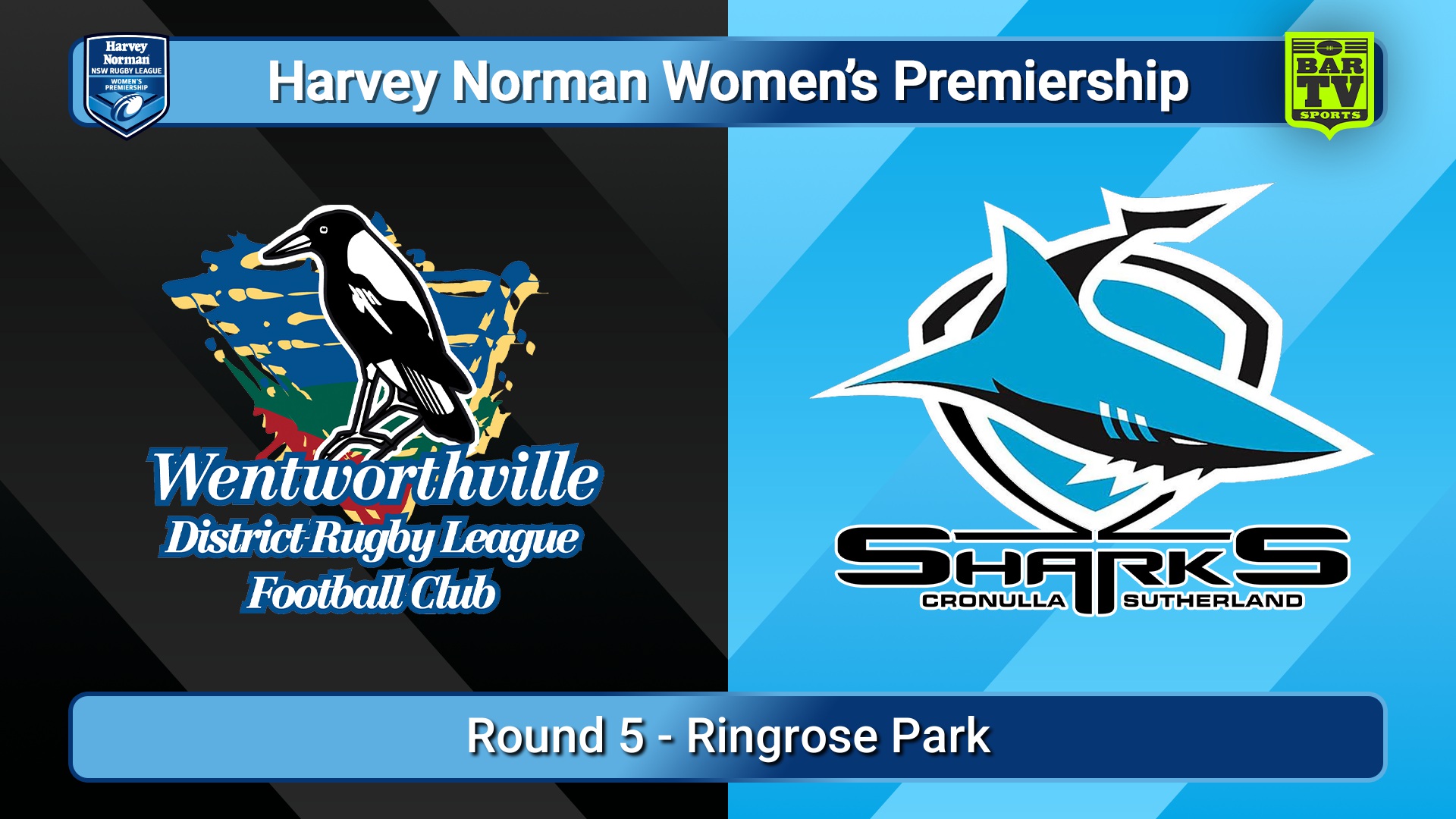 250803-video-Harvey Norman NSW Women's Premiership Round 5 - Wentworthville Magpies  v Cronulla-Sutherland Sharks Slate Image