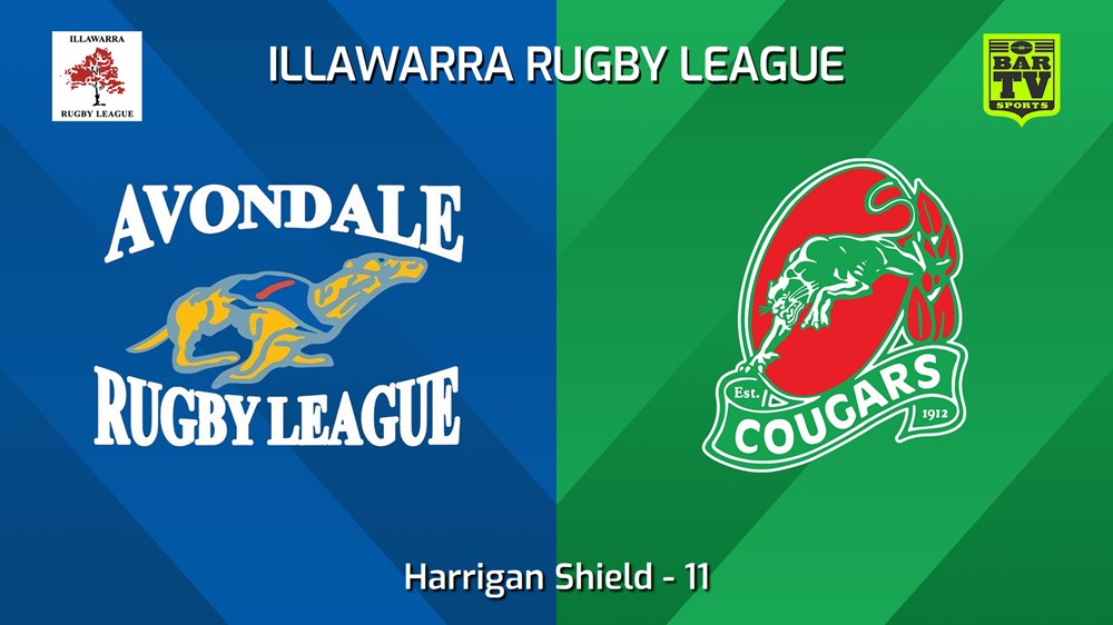 240629-video-Illawarra 11 - Harrigan Shield - Avondale Greyhounds v Corrimal Cougars Slate Image