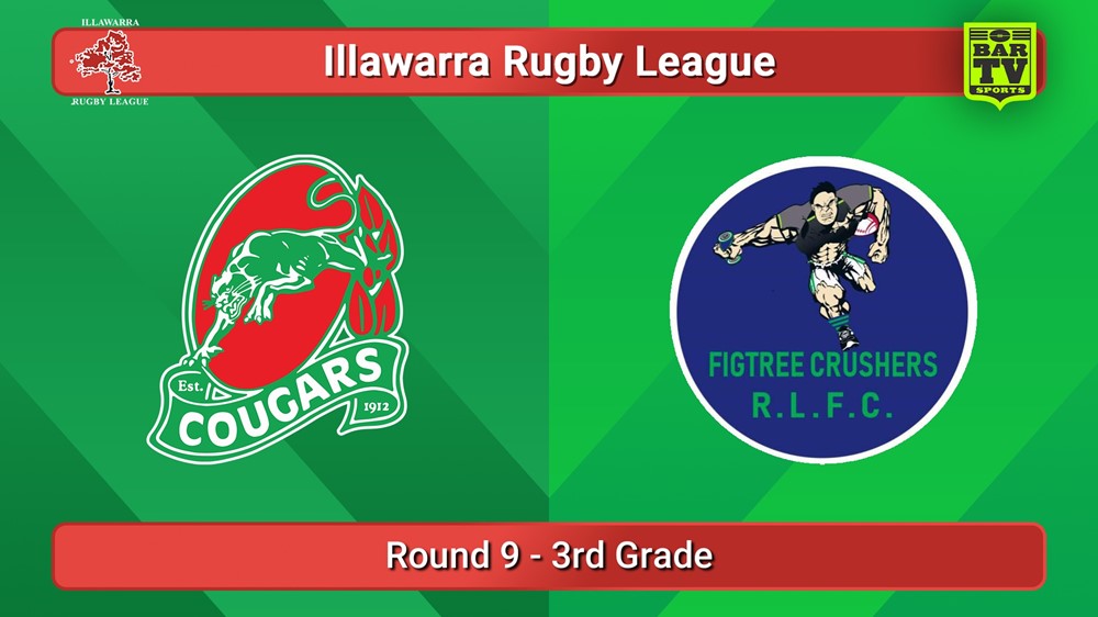 250706-video-Illawarra Round 9 - 3rd Grade - Corrimal Cougars v Figtree Crushers Slate Image