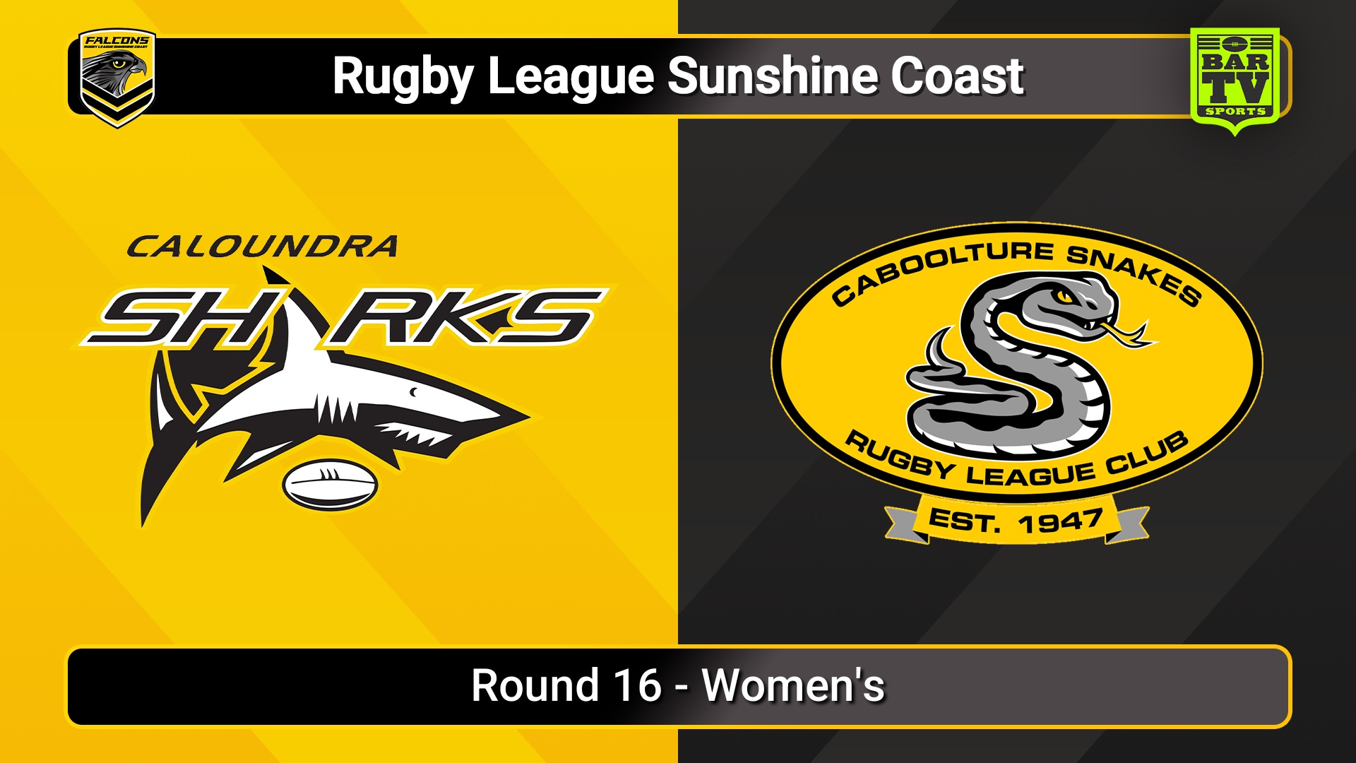 250803-video-Sunshine Coast RL Round 16 - Women's - Caloundra Sharks v Caboolture Snakes Slate Image